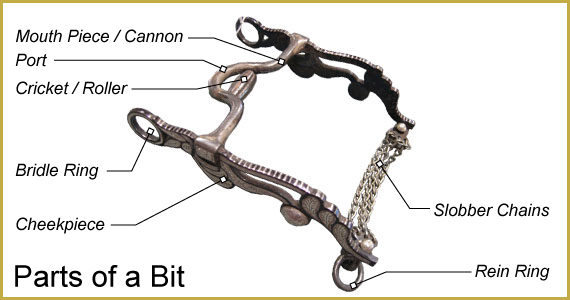 bit-diagram-labeled2